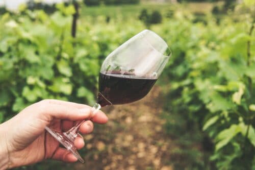 comment choisir un bon vin rouge
