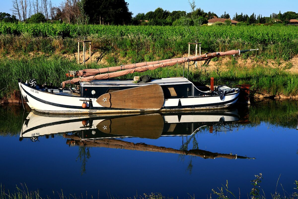 vignoble-canal-du-midi