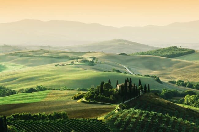 Œnotourisme en Italie : découvrez les meilleurs vignobles