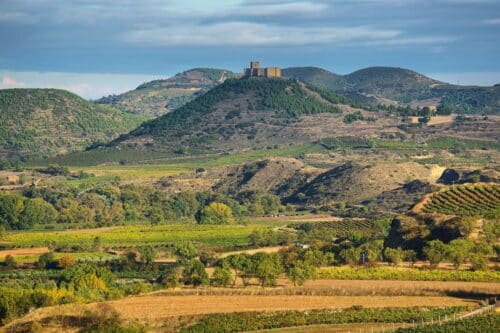 Vignoble de La Rioja, la plus grande région viticole d'Espagne